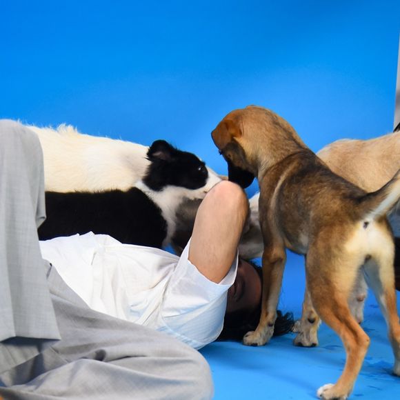 Em novo projeto, Tiago Iorc contracenou com oito filhotes de cachorro de ONG que faz resgate animal
