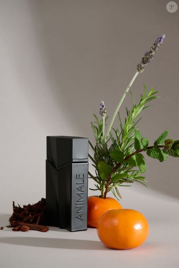 Animale Seduction Homme (Animale) - 30ml | R$ 149,90 - inspirado no espírito livre e explorador, este perfume entrega uma proposta amadeirada aromática intensa e cativante, com bergamota, sálvia e hortelã abrindo caminho para uma fragrância vibrante e moderna