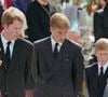 De acordo com o relato de Charles Spencer, o então príncipe Charles teria telefonado nervoso e contrário à participação dos filhos no cortejo ao lado do caixão da princesa Diana