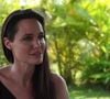 Em 2003, Angelina Jolie comprou 39 hectares de floresta no Camboja: a transformou em uma reserva, gerou empregos para dezenas de pessoas e hoje protege centenas de espécies de animais