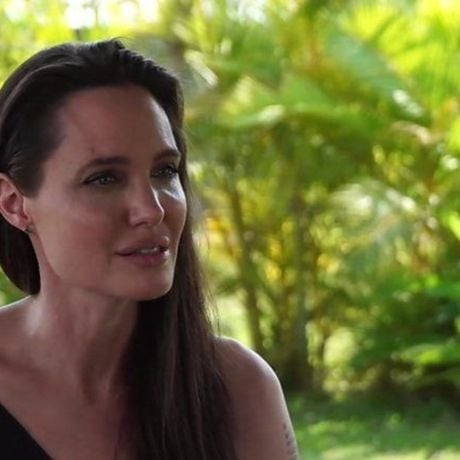Em 2003, Angelina Jolie comprou 39 hectares de floresta no Camboja: a transformou em uma reserva, gerou empregos para dezenas de pessoas e hoje protege 30 espécies de mamíferos e 140 espécies de aves