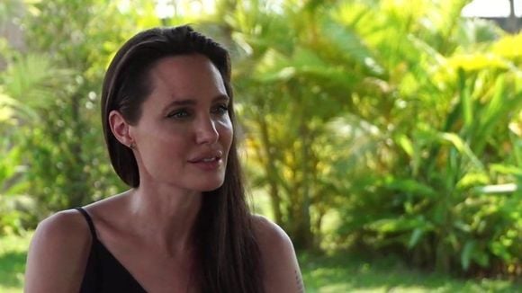 Em 2003, Angelina Jolie comprou 39 hectares de floresta no Camboja: a transformou em uma reserva, gerou empregos para dezenas de pessoas e hoje protege 30 espécies de mamíferos e 140 espécies de aves