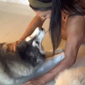 Angel, uma cadela da raça husky siberiano que Gracyanne Barbosa adotou em 2013, desapareceu na região da Barra da Tijuca, no Rio de Janeiro.