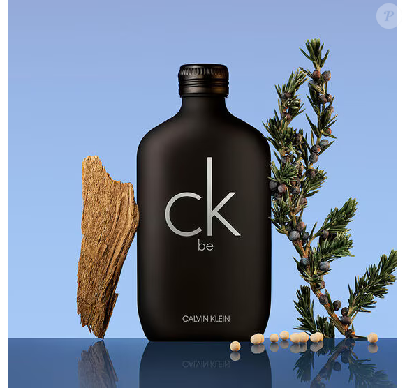 A fragrância combina o frescor da bergamota, da lavanda e da menta logo na saída. No coração aparecem magnólia, pêssego e especiarias brancas, enquanto o fundo reúne sândalo, cumaru e a resina de opopânace, formando uma fragrância descrita como uma verdadeira segunda pele