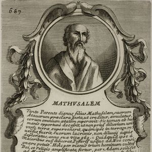 Matusalém é um personagem bíblico que ficou conhecido como o ser humano que mais viveu na Terra: foram 969 anos. O nome virou uma forma pejorativa de chamar alguém de velho