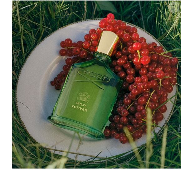 No coração da fragrância Wild Vetiver, da Creed, a combinação reúne rosa, groselha preta e gerânio. Já as notas de fundo são compostas por vetiver, madeira de âmbar e cedro, ingredientes que completam a construção olfativa do perfume