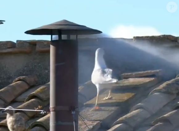 Igreja anunciou eleição do novo papa soltando a fumaça branca por chaminé instalada no teto da Capela Sistina