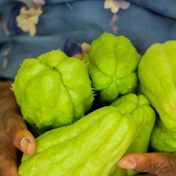 Rico em fibras, o chuchu pode ajudar a prevenir o diabetes, já que colabora para o equilíbrio da glicose e da insulina no sangue