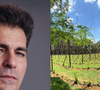 Um paraíso de 3 mil m² e que serve até para a produção de cerveja: Thiago Lacerda, galã de 'Terra Nostra', é dono dessa fazenda em destino paradisíaco do RJ
