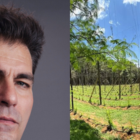 Um paraíso de 3 mil m² e que serve até para a produção de cerveja: Thiago Lacerda, galã de 'Terra Nostra', é dono dessa fazenda em destino paradisíaco do RJ