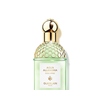 Aqua Allegoria Rosa Verde da Guerlain remete à lembrança de um banho revitalizante e relaxante. Pepino, rosa, pera e almíscares brancos criam uma composição unissex que equilibra notas aquáticas, vegetais, florais e frutadas, proporcionando uma sensação contínua de frescor sobre a pele