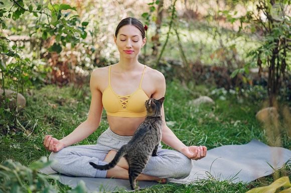 'Eles são iogues natos. Entram em estados de êxtase com os olhos perdidos no infinito e relaxam como ninguém', disse o professor de ioga Ramiro Calles sobre os gatos, durante uma entrevista ao El Pais