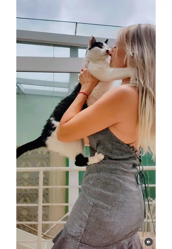 Silvia Manzuk também é apaixonada por gatos e tem 10 em sua casa, onde mora sozinha em São Paulo