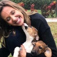 O que diz a psicologia sobre as pessoas que estão sempre acariciando os cães na rua
