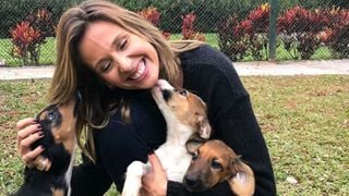 O que diz a psicologia sobre as pessoas que estão sempre acariciando os cães na rua