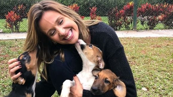 O que diz a psicologia sobre as pessoas que estão sempre acariciando os cães na rua