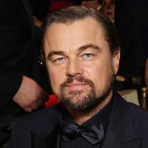 Blackadore Caye, ilha comprada por Leonardo DiCaprio, sofreu com pesca excessiva, erosão costeira e perda de manguezais