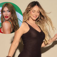 Paolla Oliveira abre mansão para festa com elenco de 'Vale Tudo' e foto com passistas da Grande Rio viraliza: 'Sempre será rainha'