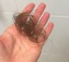 Quando nossos cabelos caem durante o banho, mil hipóteses passam pela nossa cabeça na tentativa de encontrar um culpado