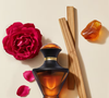 O destaque de Hadiya de O Boticário fica para o uso do Oud, conhecido como “ouro líquido da perfumaria árabe”, combinado com rosas damascenas, patchouli, âmbar e praliné. Segundo informações da própria marca, a fragrância pode durar até 12 horas, reforçando sua proposta de presença marcante