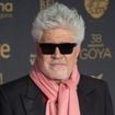 Pedro Almodóvar, aos 77 anos, sobre seus imóveis: 'Tenho uma casa nova e acho que a comprei mais para decorá-la e colocar todos os quadros que fui comprando ao longo dos anos do que para morar nela'