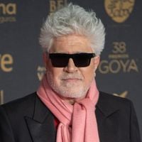 Pedro Almodóvar, aos 77 anos, sobre seus imóveis: 'Tenho uma casa nova e acho que a comprei mais para decorá-la e colocar todos os quadros que fui comprando ao longo dos anos do que para morar nela'