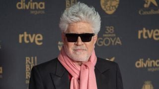 Pedro Almodóvar, aos 77 anos, sobre seus imóveis: 'Tenho uma casa nova e acho que a comprei mais para decorá-la e colocar todos os quadros que fui comprando ao longo dos anos do que para morar nela'