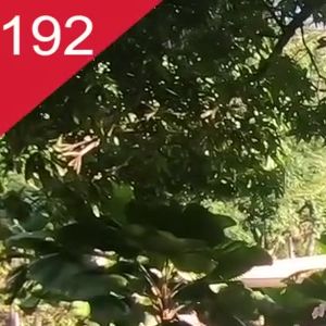 Mansão de Anitta custou R$ 7,6 milhões aos cofres da cantora, segundo o site Bel Radar. O imóvel foi colocado a leilão por um banco