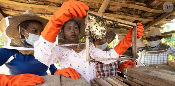Organização de Angelina Jolie trabalha em uma área que preserva mais de 30 espécies de mamíferos e 140 espécies de aves