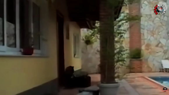 Mansão foi comprada por Manfred Von Richthofen, pai de Suzane, em 1998. Na época, o imóvel custou R$ 330 mil