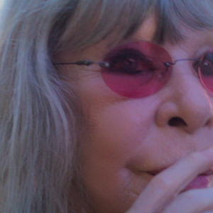 Homenagem a Rita Lee na Sapucaí inclui referência à causa animal e condição especial revelada por Roberto de Carvalho