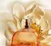 O Aura Alba Dourada, da Natura, é um Deo Parfum que combina a Rosa Alba e a Flor do Mel com notas suculentas de lichia. A composição ganha profundidade com o calor ambarado do cumaru e da priprioca, criando uma proposta floral que também explora nuances quentes