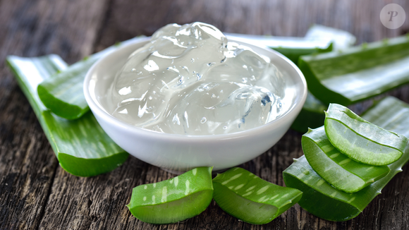A babosa produz naturalmente um gel dentro de suas folhas, utilizado por algumas pessoas diretamente sobre feridas e queimaduras na tentativa de aliviar a dor