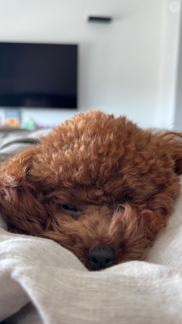 E não parou por aí, já que instantes depois Bruna Marquezine também publicou um storie com Chihiro deitado em sua cama