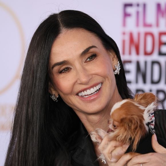 Pilaf, cachorrinha de Demi Moore, é famosa nas redes sociais, e tem perfil até no Instagram.