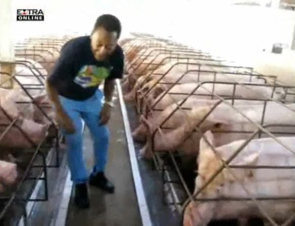Fazenda milionária de Pelé à venda: jogador criou animais como porcos no espaço com quase 30 suítes e 2 capelas