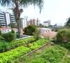 Casa de luxo que pertenceu ao jogador Lucas Moura chama atenção pela horta suspensa, jardim de inverno e coleta de água para reuso com capacidade de 16 mil litros