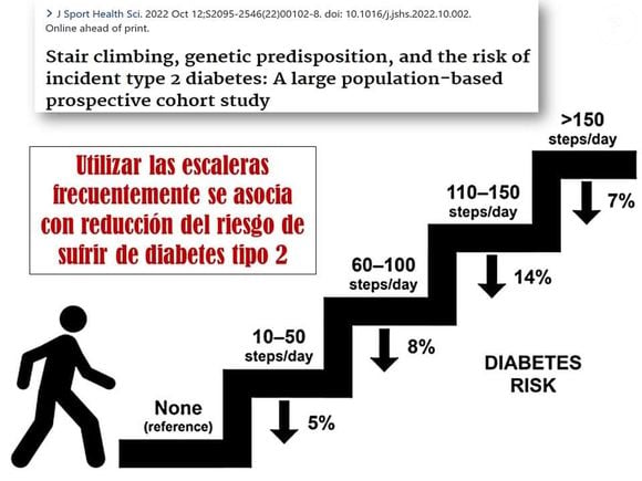 Subir escadas "é seis vezes mais rentável do que qualquer outro exercício. Uma única sessão de um minuto subindo escadas em um ritmo confortável já traz benefícios", diz o especialista