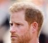 Príncipe Harry relembrou o impacto da morte da princesa Diana e contou como lidou com sentimentos que, segundo ele, ficaram reprimidos durante anos