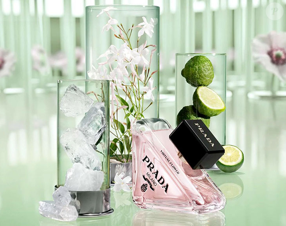 A fragrância Prada Paradoxe Virtual Flower é um dos lançamentos mais inovadores da perfumaria
