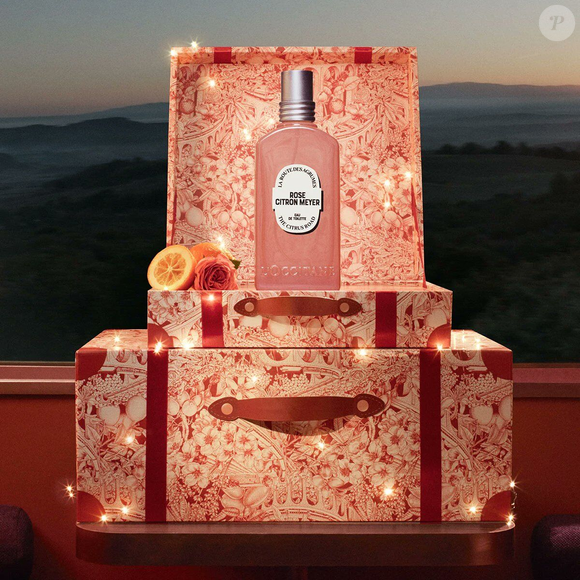 Inspirado na Córsega, o Rose Citron Meyer mistura cidra, limão, mandarina, rosa e sândalo em uma fragrância leve, moderna e perfeita para quem ama perfumes cítricos no inverno