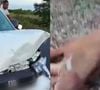 Carro onde estava o filho de Neto Araújo bateu em um animal: herdeiro do músico foi levado para hospital e liberado logo em seguida