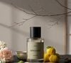 Segundo o Steal The Look, a primeira coleção de perfumes da Mondepars reúne Kyoto, Rosalee e NERO, com propostas que exploram diferentes facetas da identidade da marca