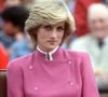 "Ela provavelmente comia duas ou três vezes por semana. A princesa não comia carne bovina de jeito nenhum", contou o chef de Lady Di