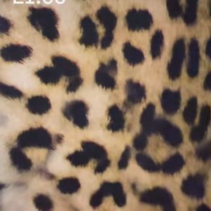 Virginia Fonseca fez questão de enfatizar na web que adorou o lavado - ele tinha decoração aveludada de oncinha nas paredes.