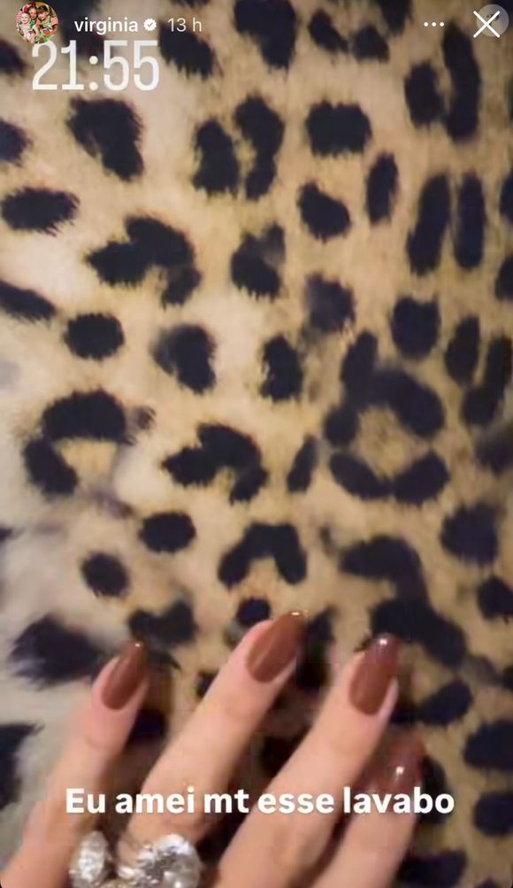 Virginia Fonseca fez questão de enfatizar na web que adorou o lavado - ele tinha decoração aveludada de oncinha nas paredes.