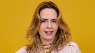 Ana Paula Renault é dona da Renault ou não? Entenda a origem do patrimônio da Veterana, cujo sobrenome gera confusão