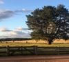 Fazenda de Nicole Kidman tem 111 acres, o equivalente a quase 45 hectares de terra
