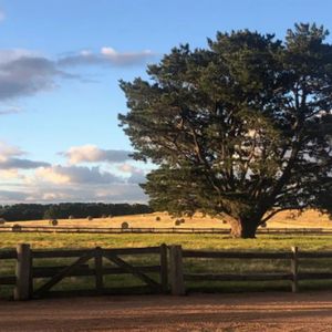 Fazenda de Nicole Kidman tem 111 acres, o equivalente a quase 45 hectares de terra