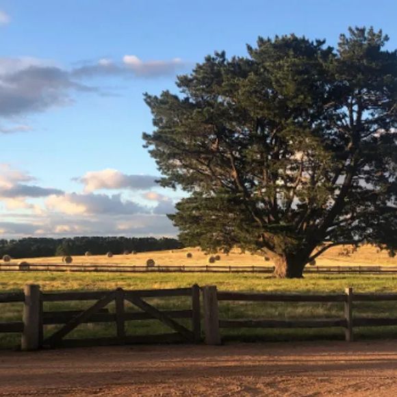 Fazenda de Nicole Kidman tem 111 acres, o equivalente a quase 45 hectares de terra